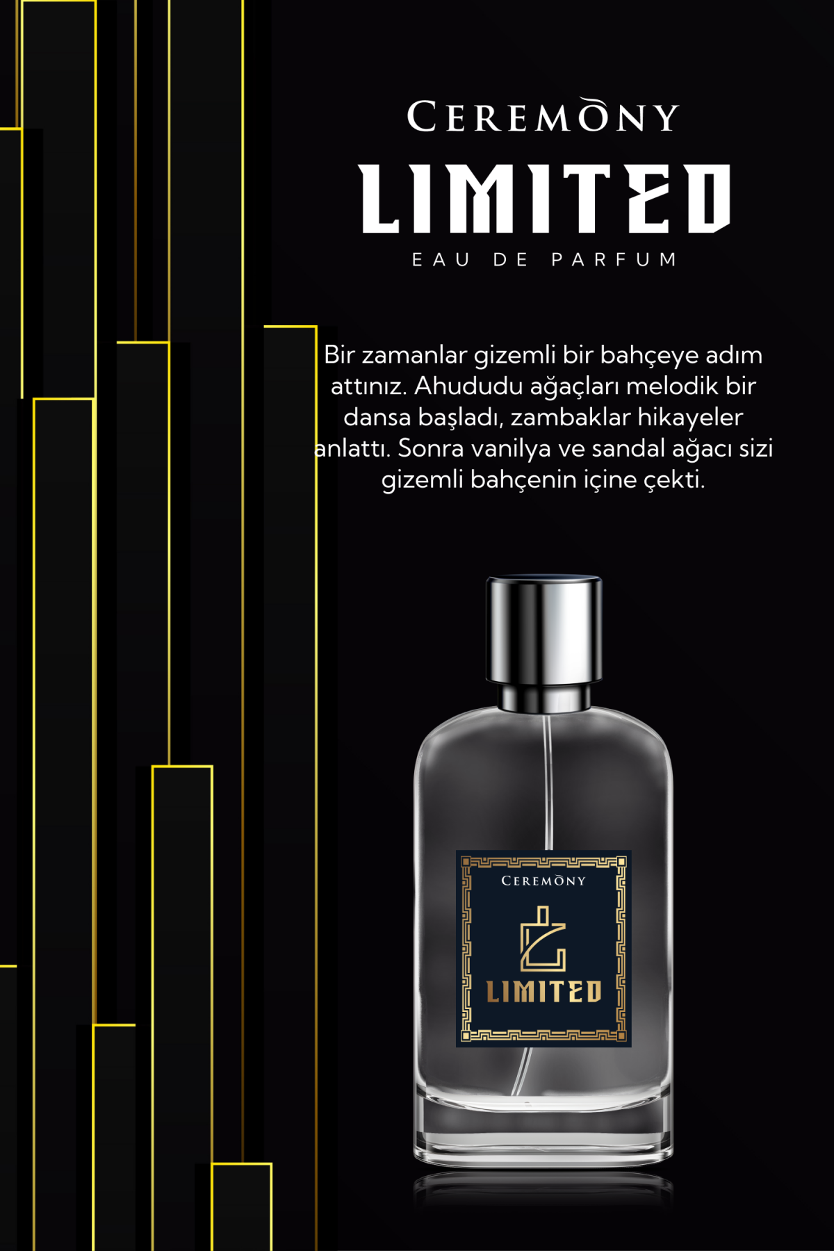 Limited #8